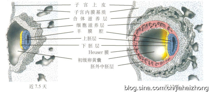 对任督二脉,真气,小周天的认识-贾海忠